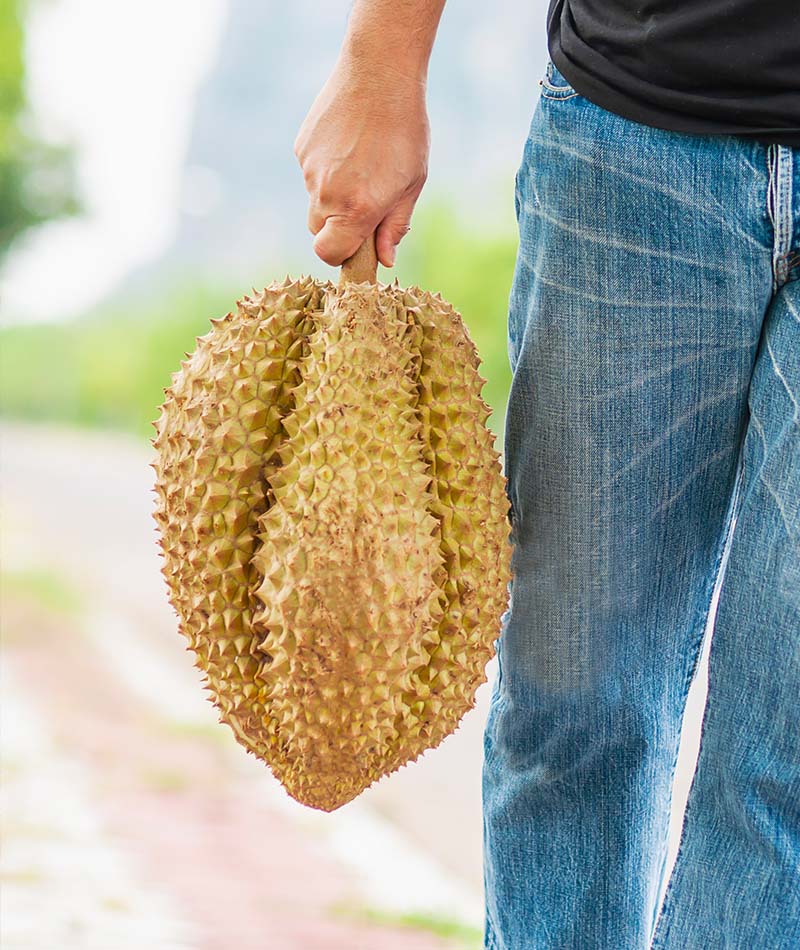 Blog Durian 1